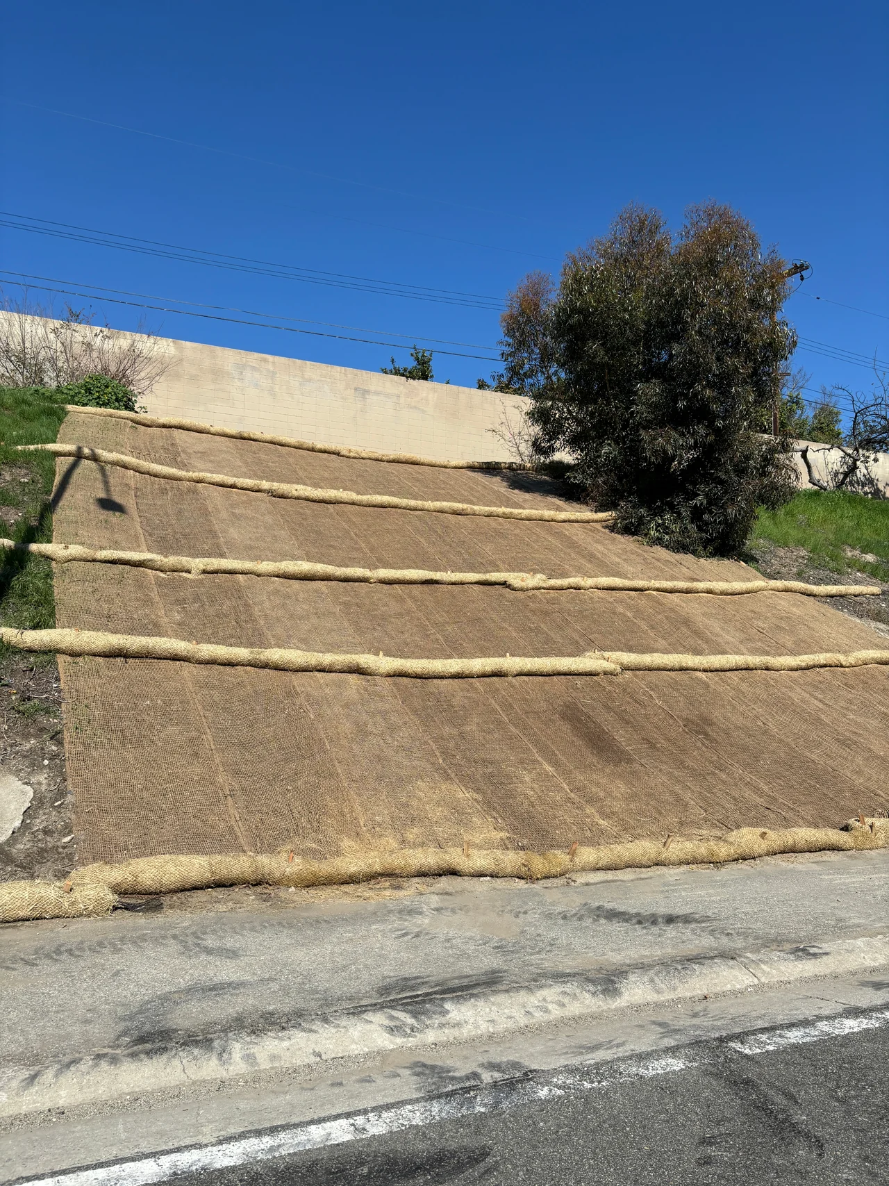 Slope & Roadside Restoration